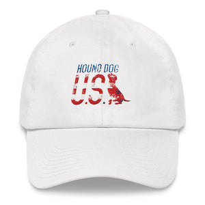 USA Vintage Cap