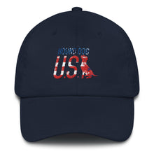 USA Vintage Cap